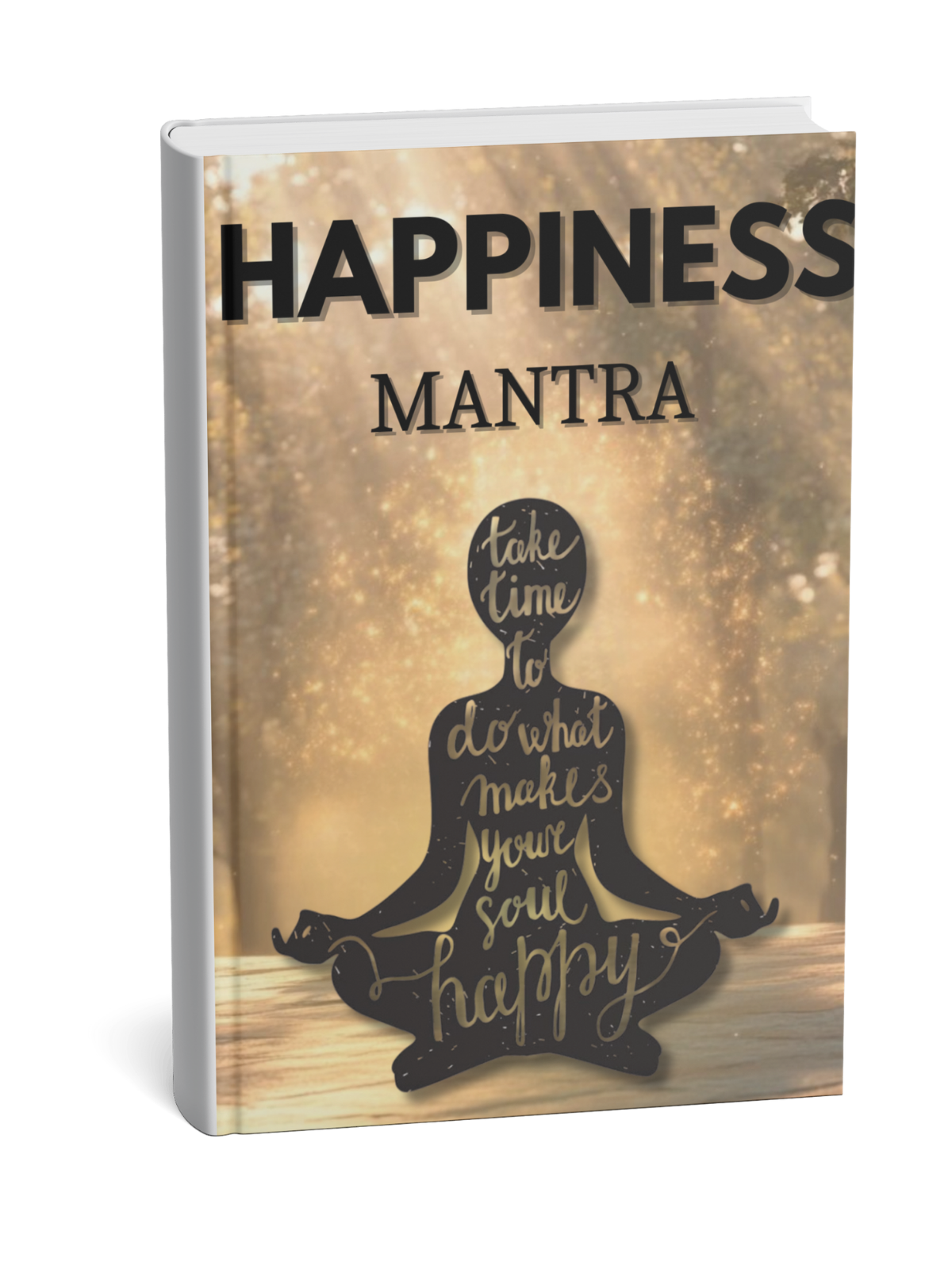HAPPINESS MANTRA ebook